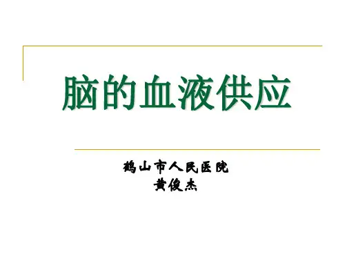 脑的血液供应