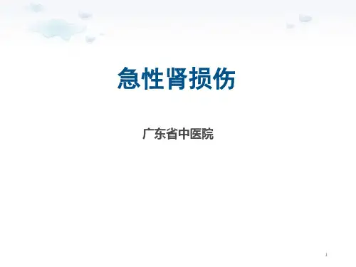急性肾损伤