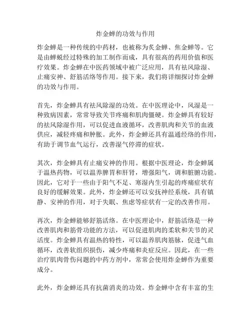 炸金蝉的功效与作用