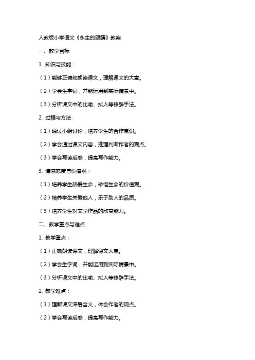 人教版小学语文《永生的眼睛》教案 