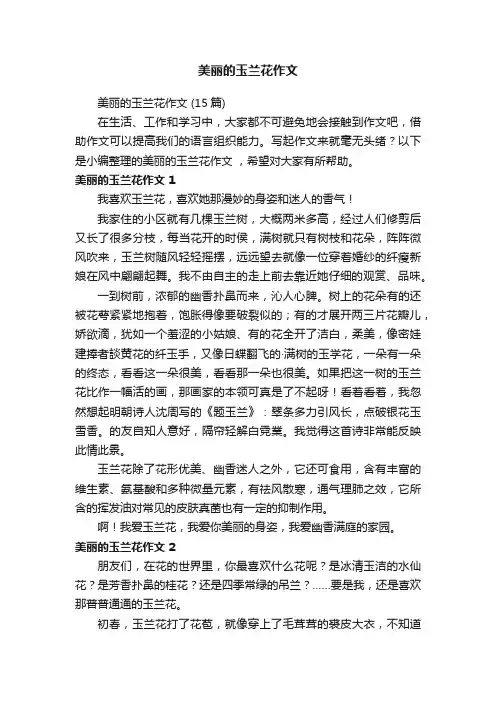 美丽的玉兰花作文（15篇）