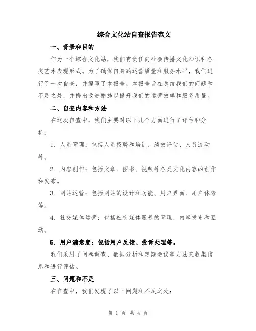 综合文化站自查报告范文