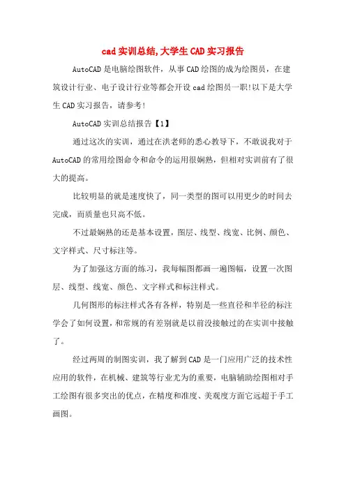 cad实训总结,大学生CAD实习报告