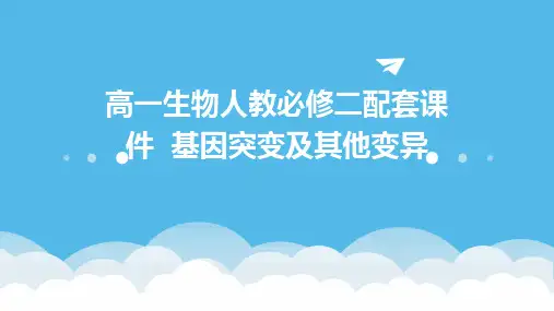 高一生物人教必修二配套课件  基因突变及其他变异