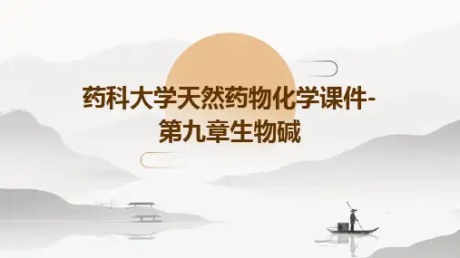 药科大学天然药物化学课件-第九章生物碱