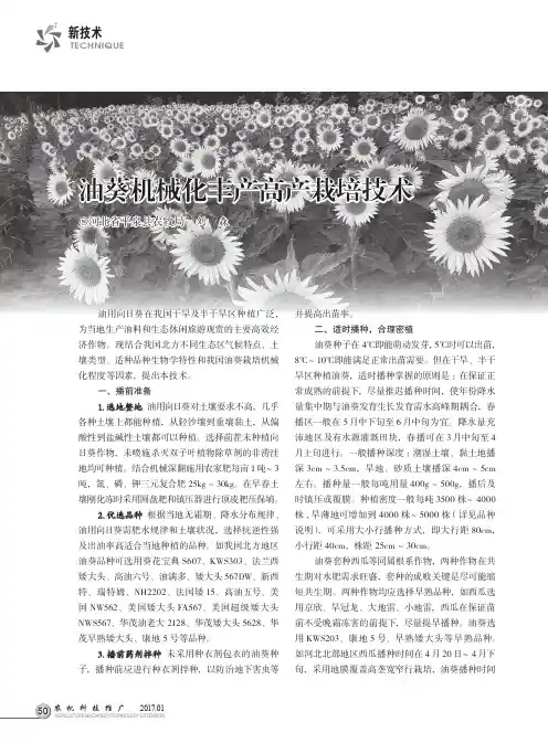 油葵机械化丰产高产栽培技术
