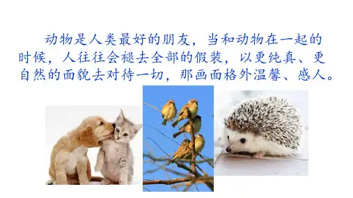 部编版语文四年级下册《习作：我的动物朋友》课件(共18张PPT)