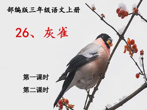 部编版三年级语文上册26、灰雀ppt