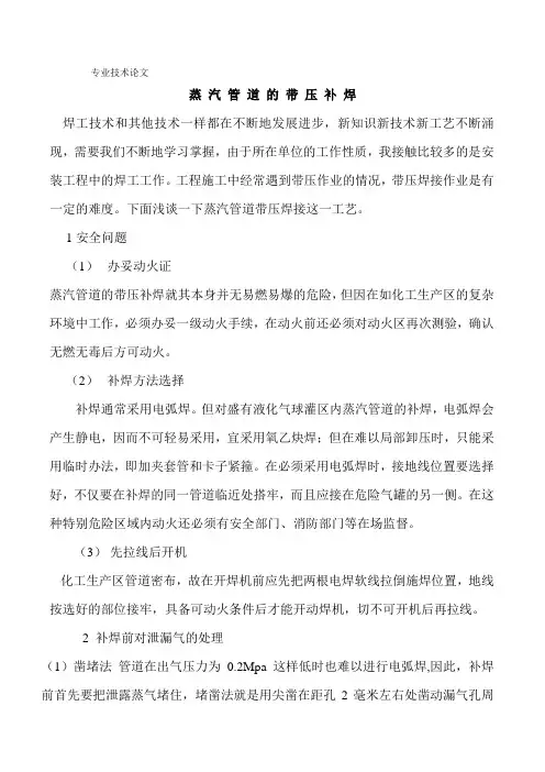 专业技术论文