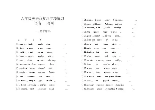 陕旅版小学六年级英语总复习语音动词代词专项练习