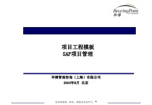 毕马威SAP项目管理介绍-项目管理