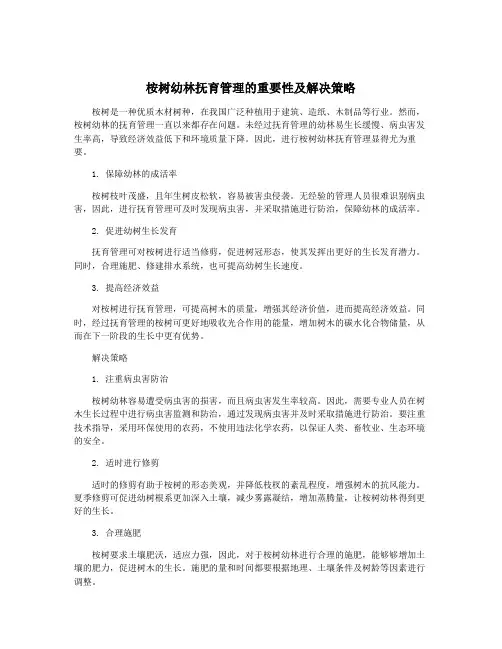 桉树幼林抚育管理的重要性及解决策略