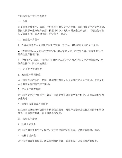 甲醛安全生产责任制度范本