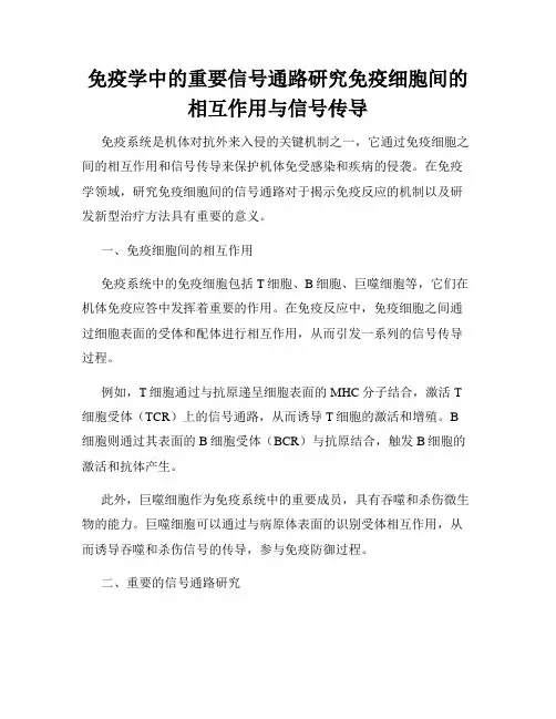 免疫学中的重要信号通路研究免疫细胞间的相互作用与信号传导