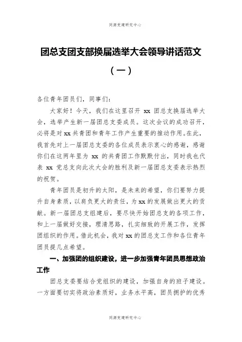 团总支团支部换届选举大会领导讲话范文（一）