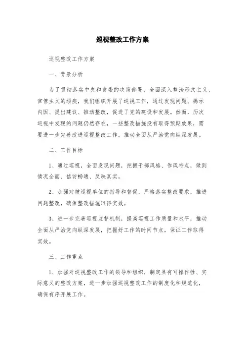 巡视整改工作方案