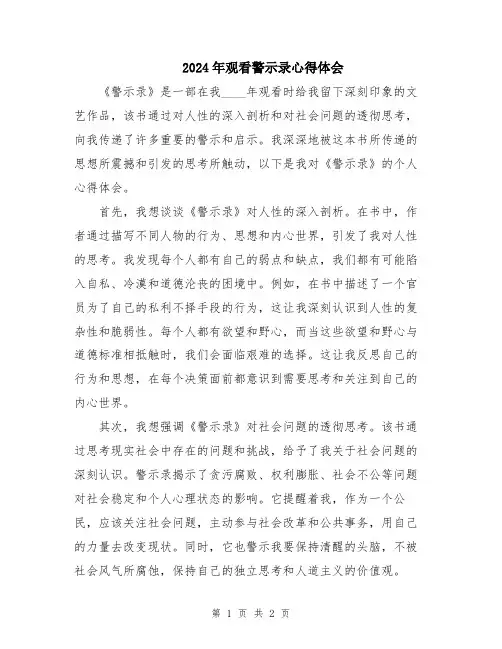 2024年观看警示录心得体会
