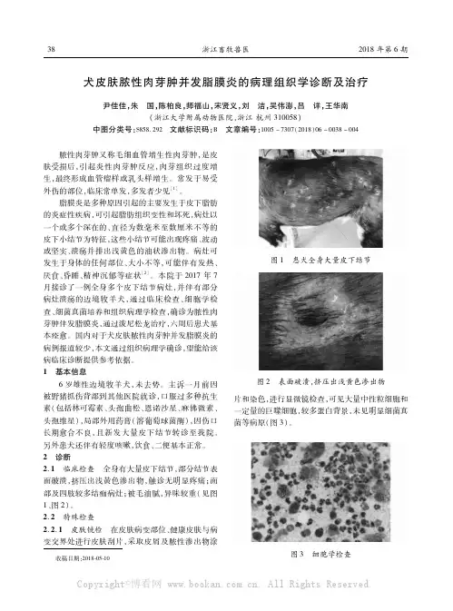 犬皮肤脓性肉芽肿并发脂膜炎的病理组织学诊断及治疗