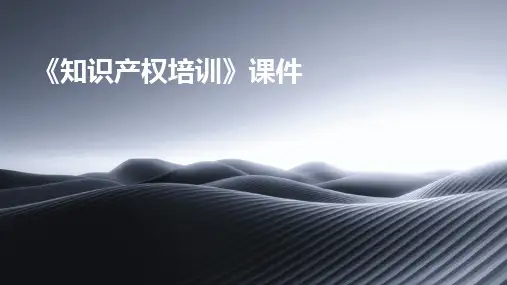 2024版《知识产权培训》课件