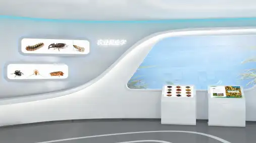 02-5.3斜纹夜蛾