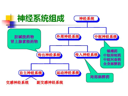 第三章拟胆碱药和抗胆碱药
