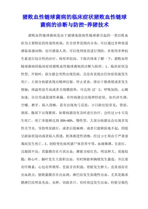 猪败血性链球菌病的临床症状 猪败血性链球菌病的诊断与防控 - 养猪技术