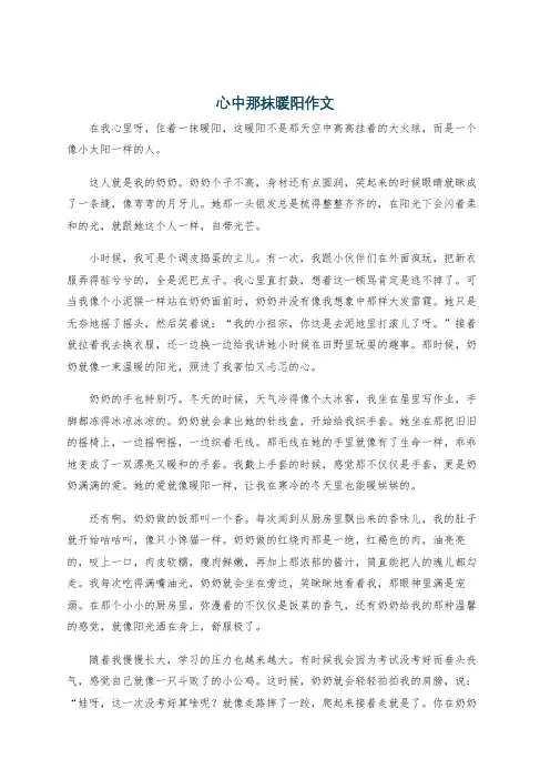 心中那抹暖阳作文
