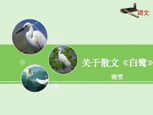 13《散文家谈散文》课件(第2课时)