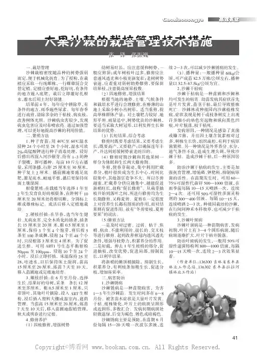 大果沙棘的栽培管理技术措施