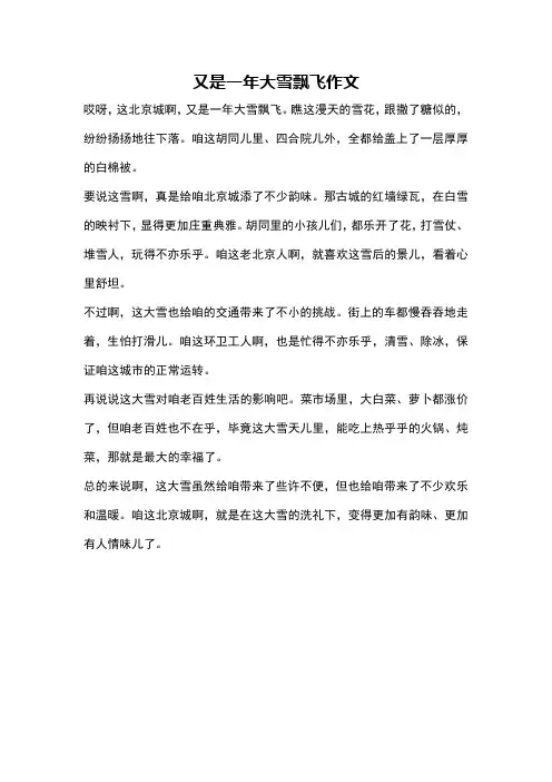 又是一年大雪飘飞作文
