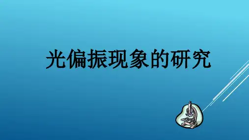 光偏振现象的研究