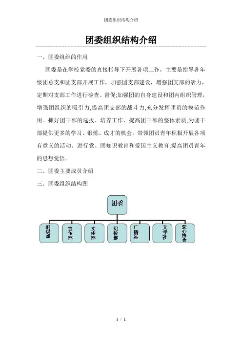 团委组织结构介绍
