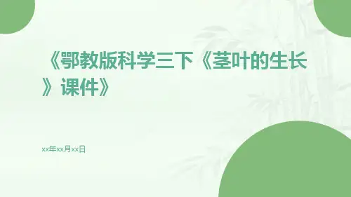 鄂教版科学三下《茎叶的生长》课件