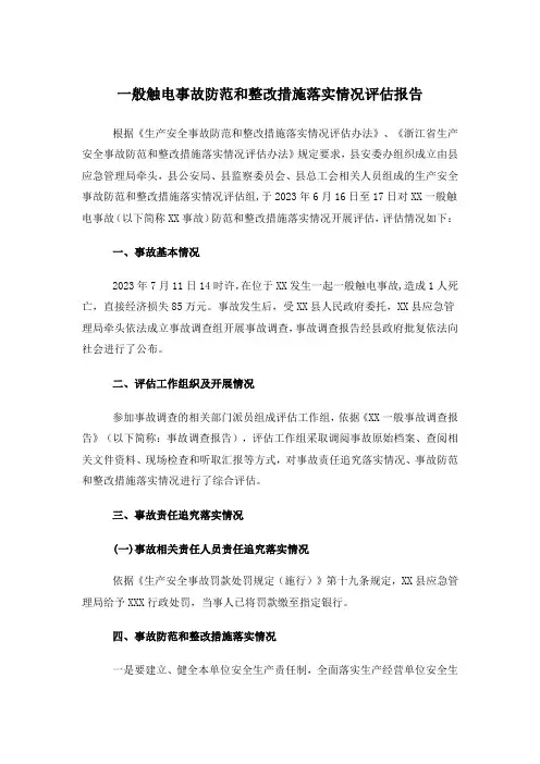 一般触电事故防范和整改措施落实情况评估报告