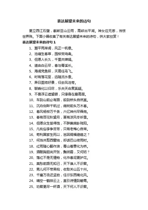 表达展望未来的诗句