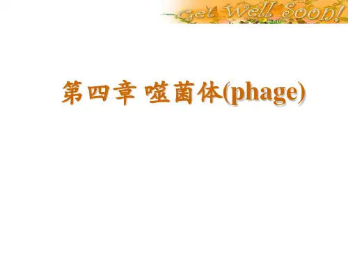 第4章 噬菌体
