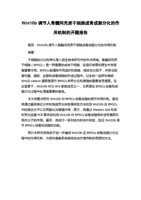 Wnt10b调节人骨髓间充质干细胞成骨成脂分化的作用机制的开题报告
