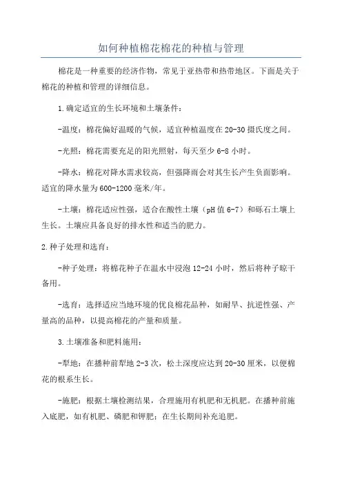 如何种植棉花棉花的种植与管理