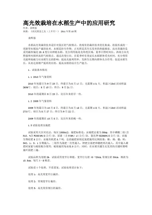 高光效栽培在水稻生产中的应用研究