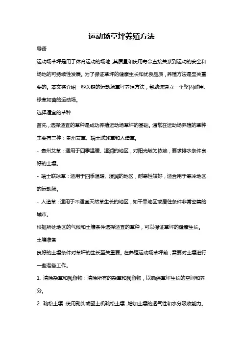 运动场草坪养殖方法