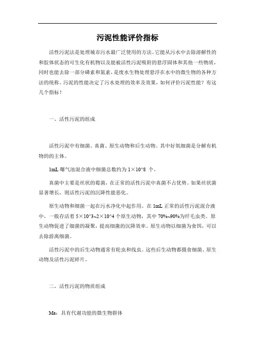 污泥性能评价指标