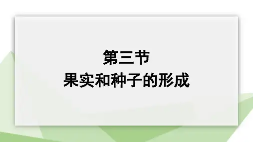 1-3 果实和种子的形成 课件 初中生物济南版八年级上册(2023~2024学年)