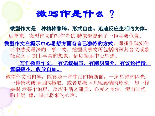 高三语文微写作指导省名师优质课赛课获奖课件市赛课一等奖课件