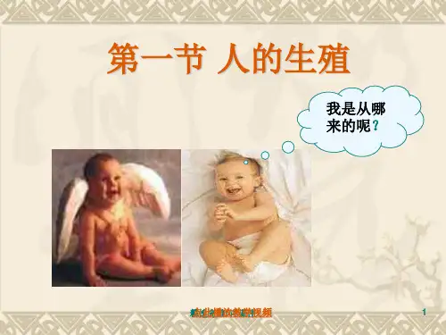1.2人的生殖(ppt)