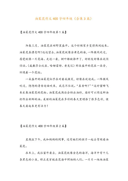 油菜花作文400字四年级(合集3篇)