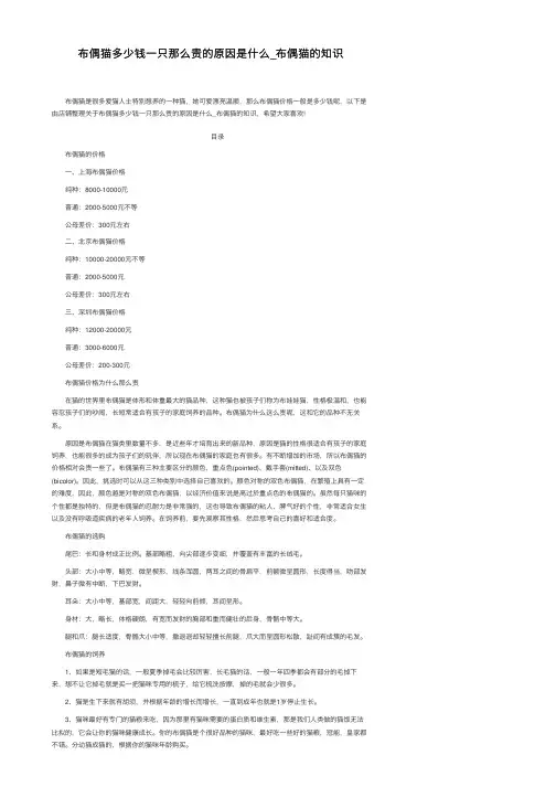 布偶猫多少钱一只那么贵的原因是什么_布偶猫的知识