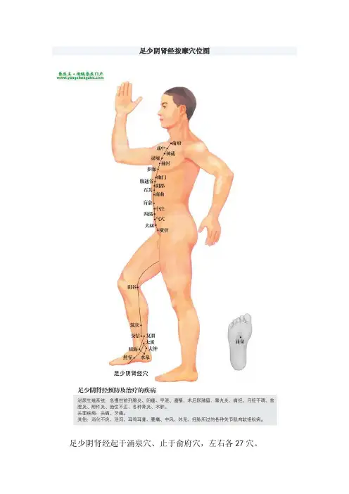 足少阴肾经按摩穴位图
