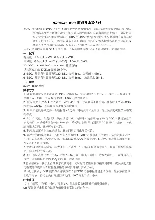 Southern Blot原理及实验方法