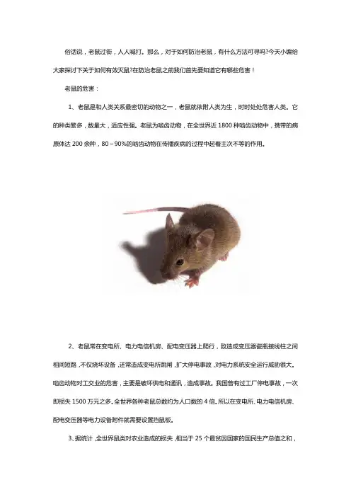 老鼠的危害及如何使用挡鼠板