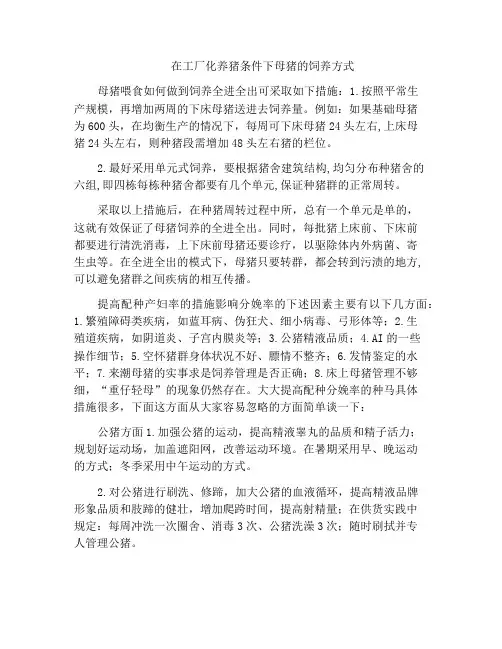 在工厂化养猪条件下母猪的饲养方式